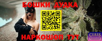 spice Кулебаки
