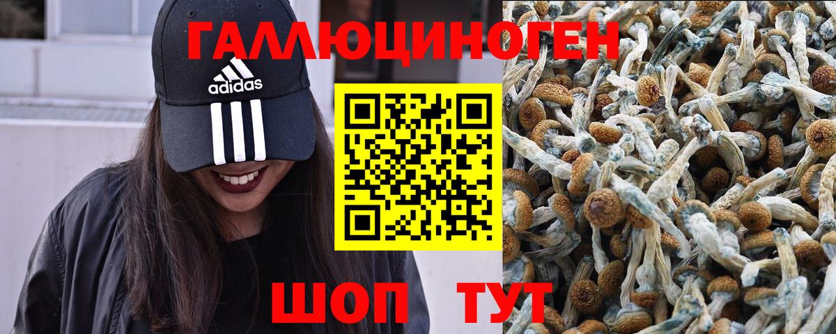 Галлюциногенные грибы мицелий  Галлюциногенные грибы Psilocybe  Вход с VPN  Домодедово 